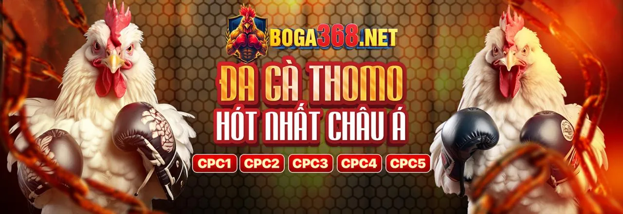 Đá gà trực tuyến web88 link mới